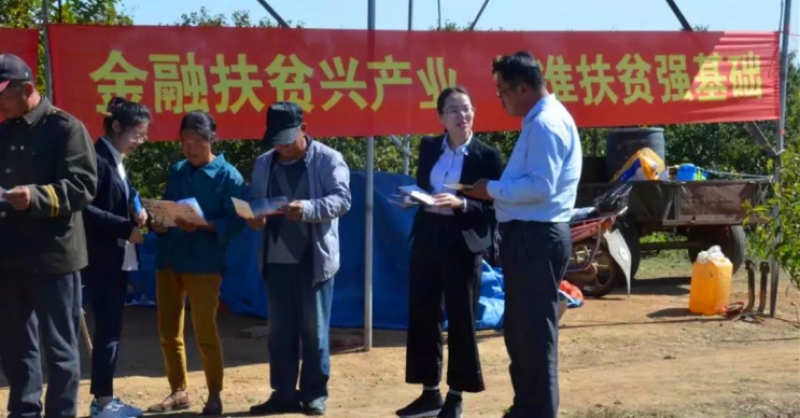 金融活水“貸”動鄉村振興